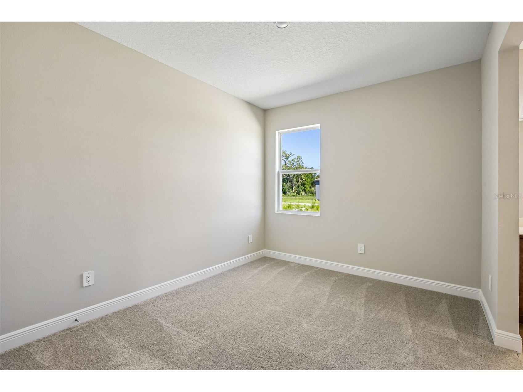10037 Hidden Hammock Loop Parrish FL 34219 TB8482334 image9