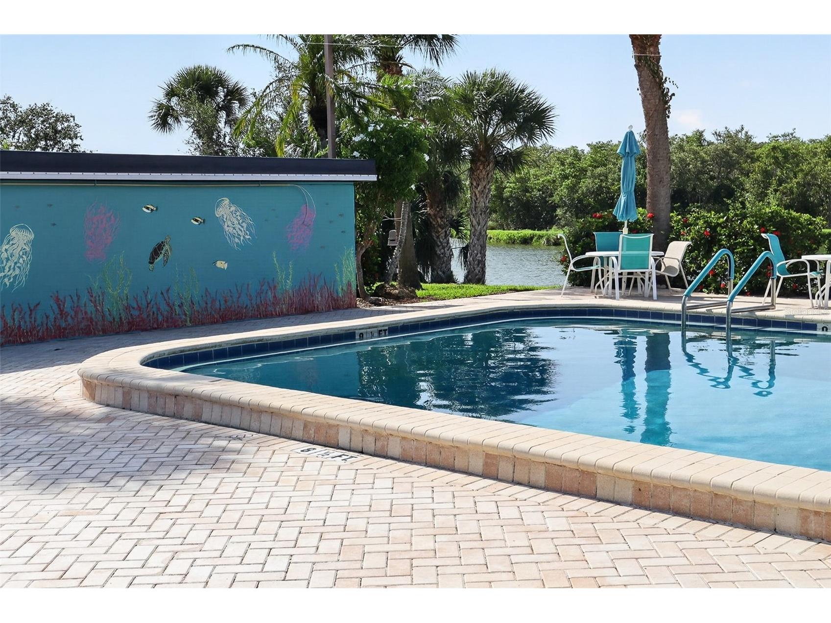 10038 62nd Terrace N #15 Saint Petersburg FL 33708 TB8513071 image37