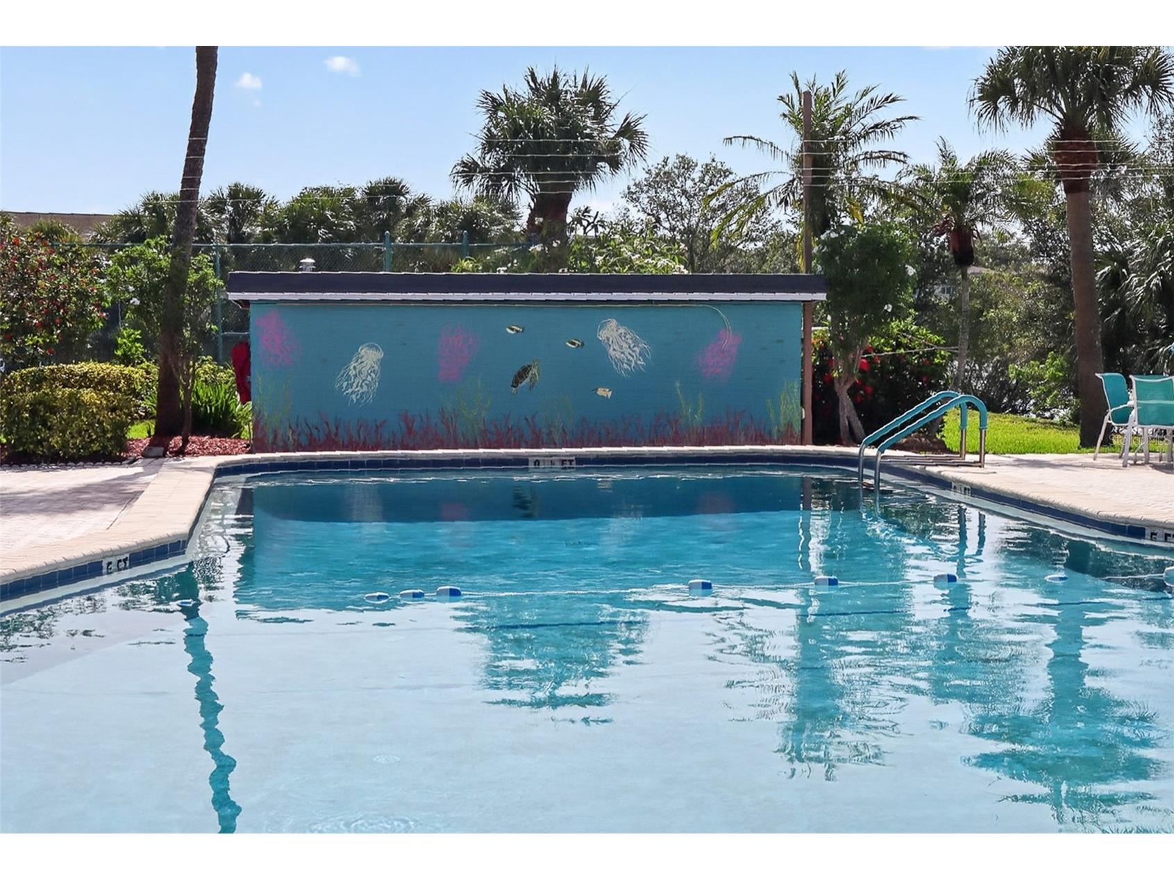 10038 62nd Terrace N #15 Saint Petersburg FL 33708 TB8513071 image39
