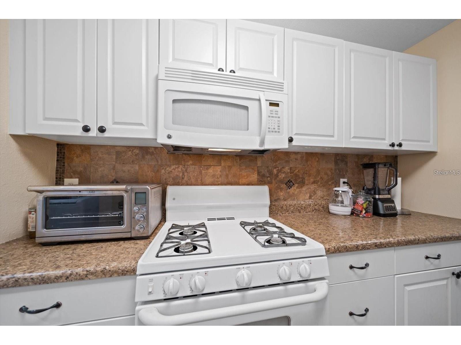 10038 62nd Terrace N #17 Saint Petersburg FL 33708 TB8470494 image10