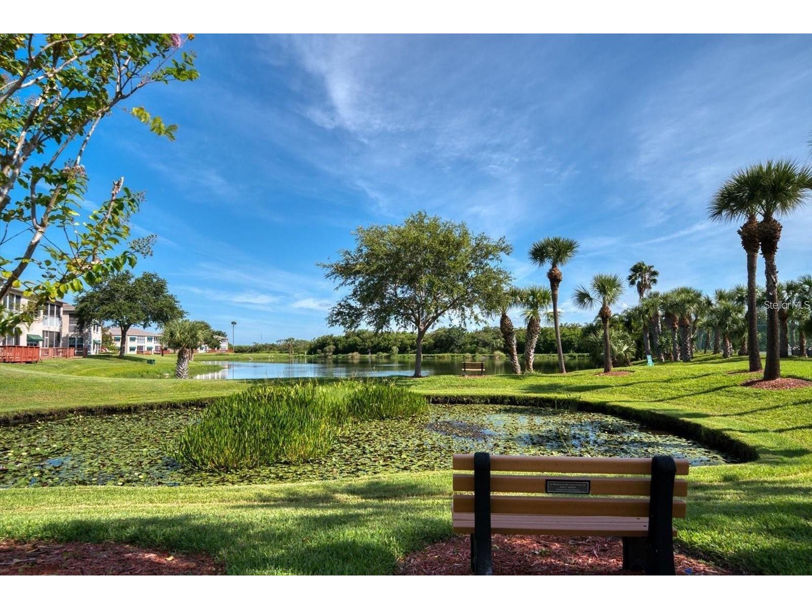 10038 62nd Terrace N #17 Saint Petersburg FL 33708 TB8470494 image21