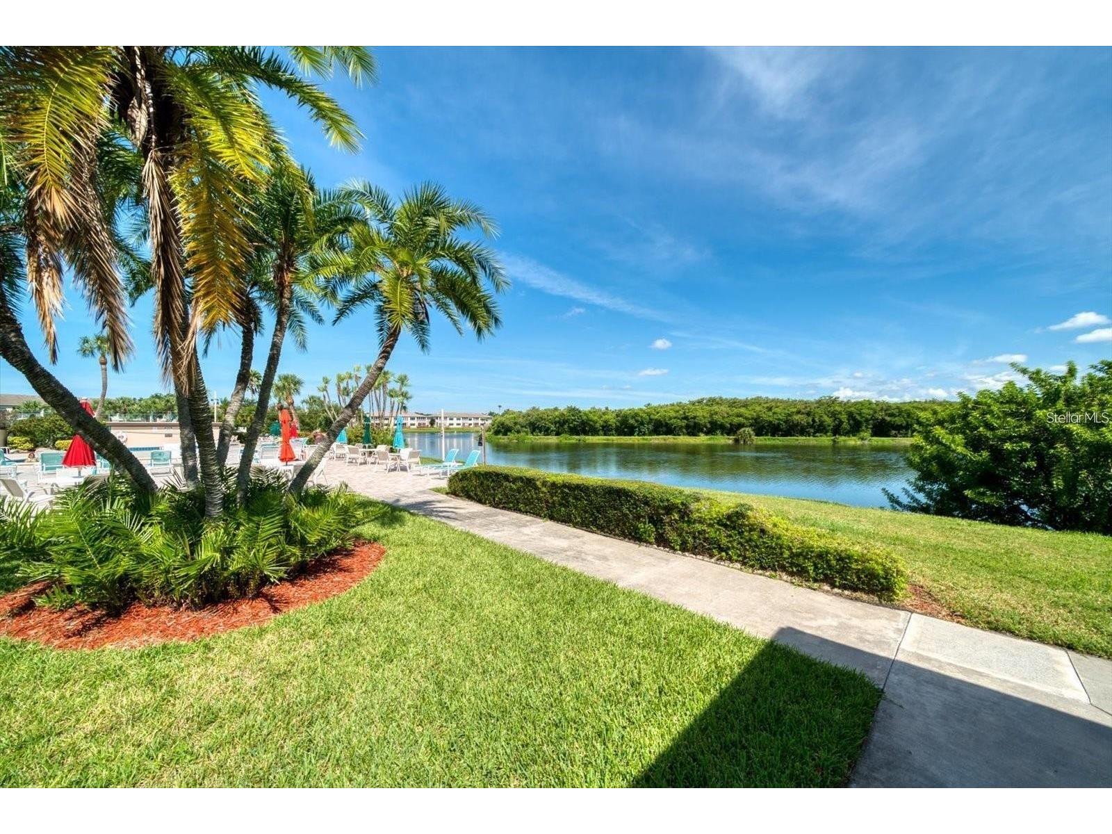 10038 62nd Terrace N #17 Saint Petersburg FL 33708 TB8470494 image22