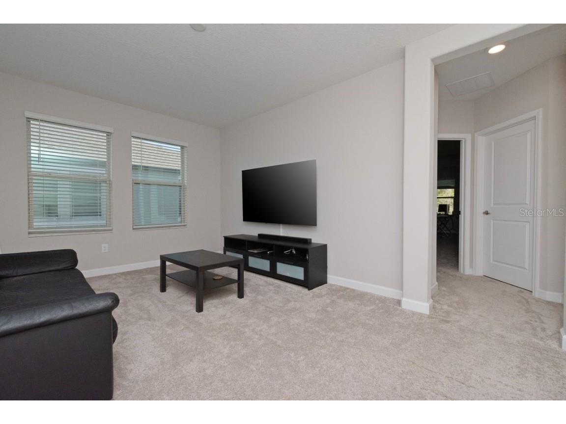 10038 Corso Milano Drive Tampa FL 33625 TB8313033 image16