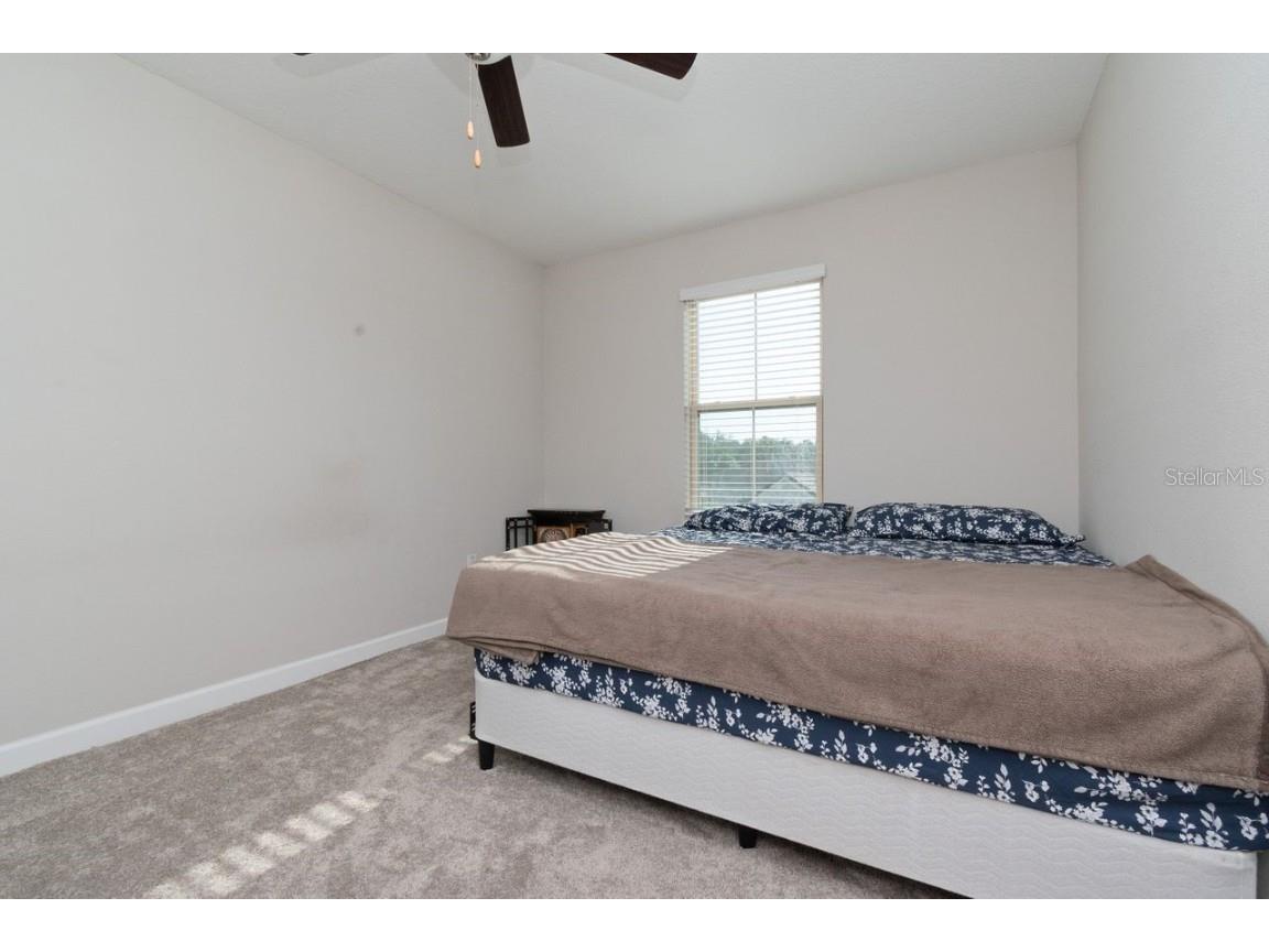 10038 Corso Milano Drive Tampa FL 33625 TB8313033 image19