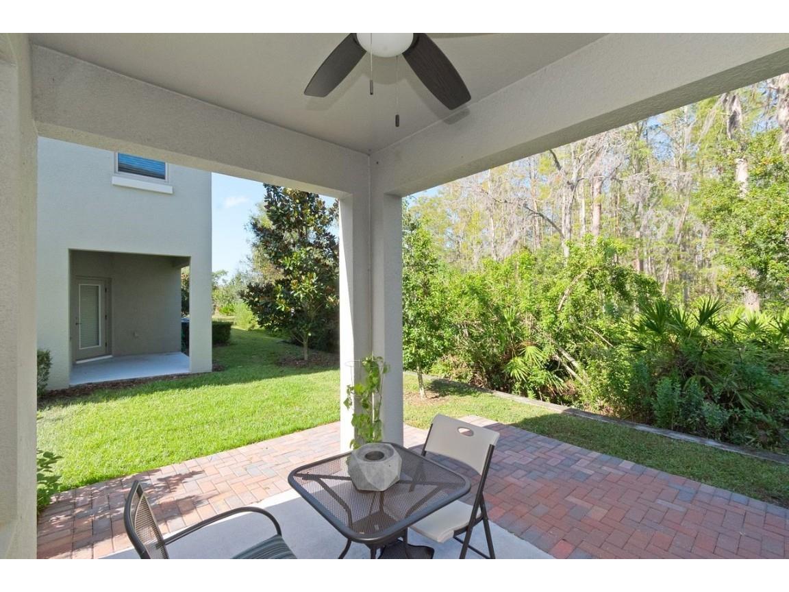 10038 Corso Milano Drive Tampa FL 33625 TB8313033 image23