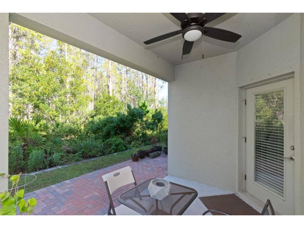 10038 Corso Milano Drive Tampa FL 33625 TB8313033 image25