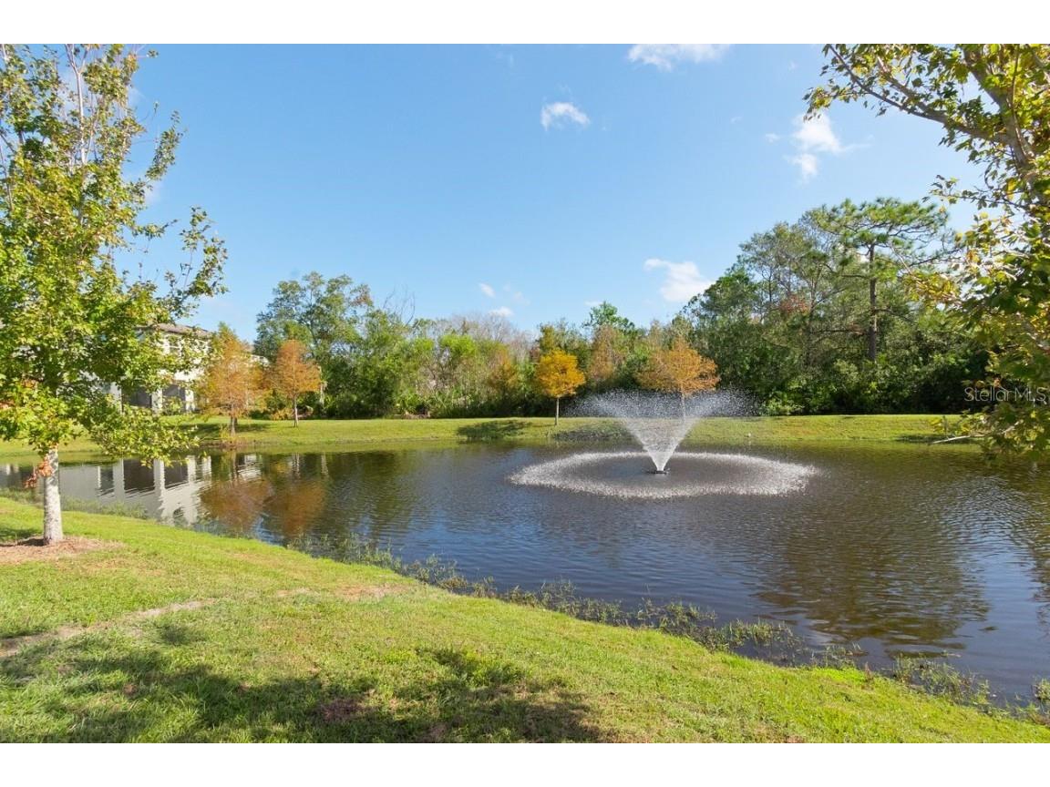 10038 Corso Milano Drive Tampa FL 33625 TB8313033 image28