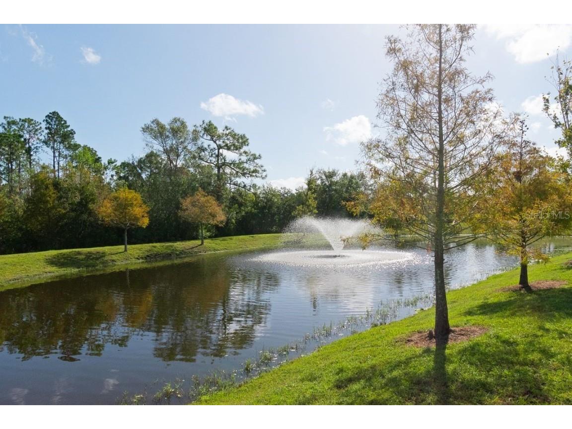 10038 Corso Milano Drive Tampa FL 33625 TB8313033 image29