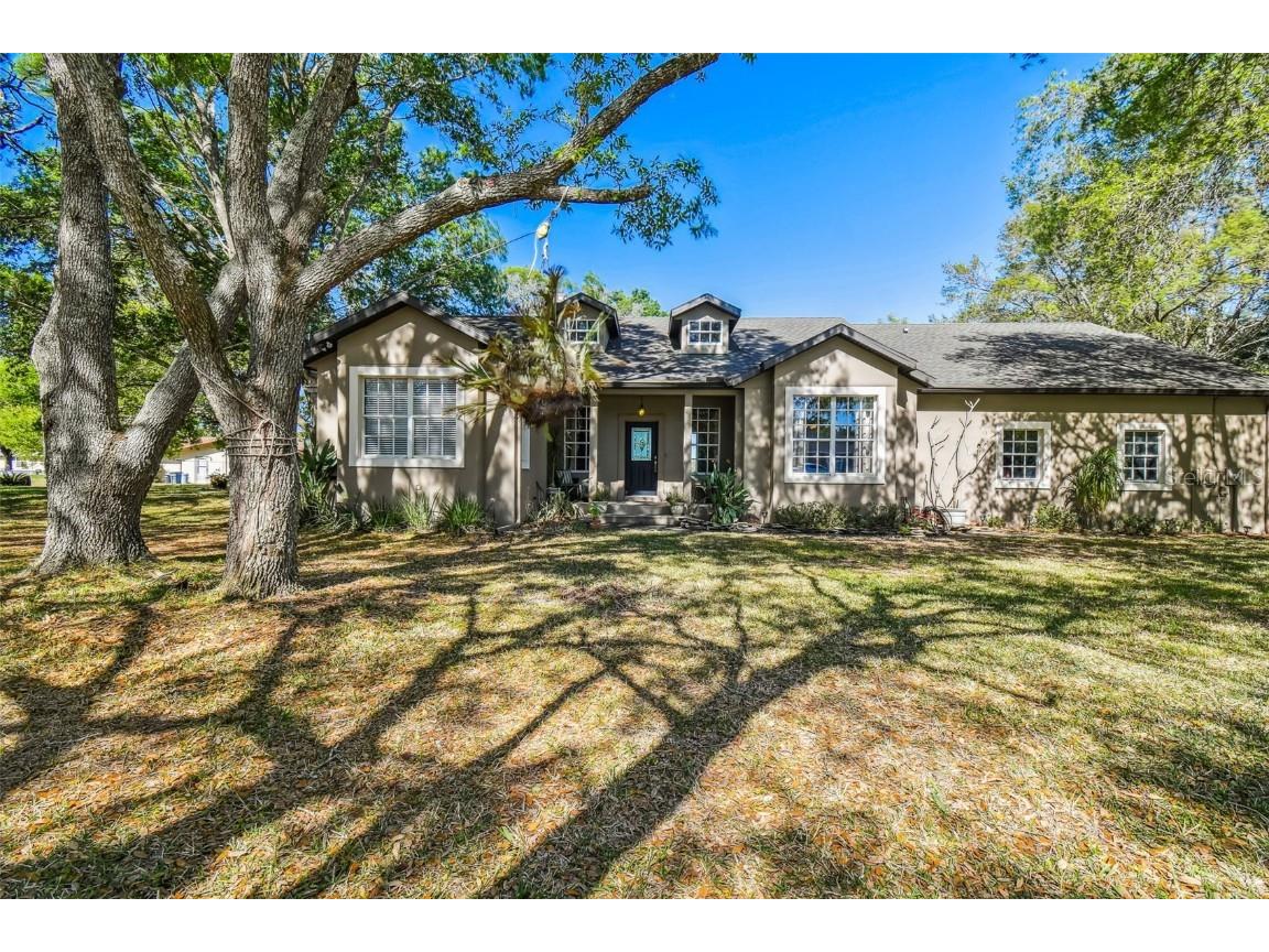 10039 Casey Drive New Port Richey FL 34654 U8218505 image1