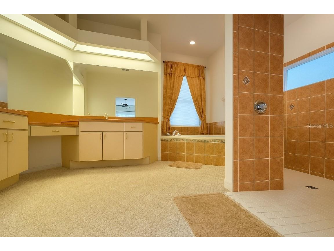 10039 Hernando Ridge Weeki Wachee FL 34613 O6334393 image12