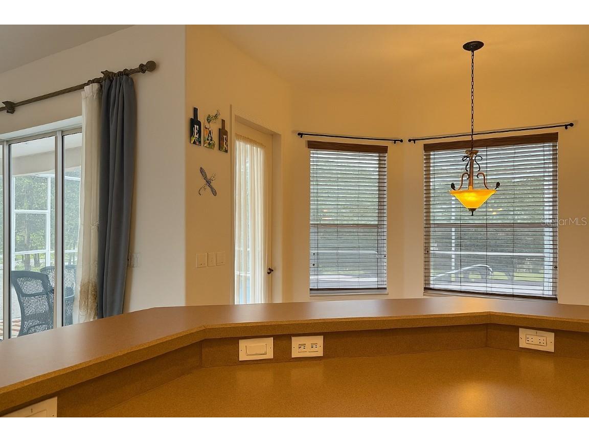 10039 Hernando Ridge Weeki Wachee FL 34613 O6334393 image14