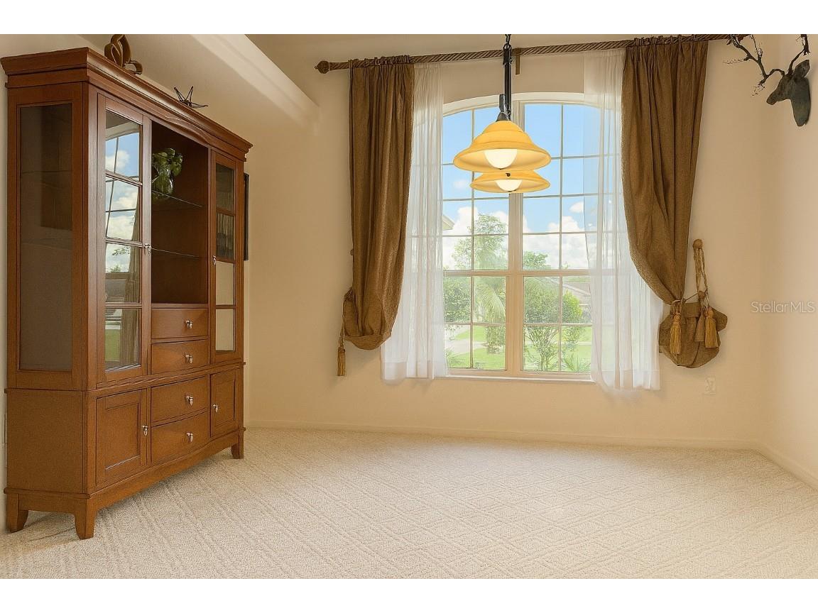 10039 Hernando Ridge Weeki Wachee FL 34613 O6334393 image15