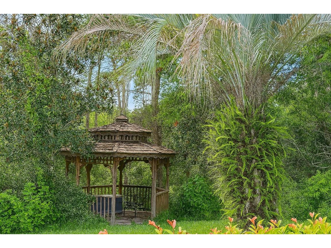 10039 Hernando Ridge Weeki Wachee FL 34613 O6334393 image23