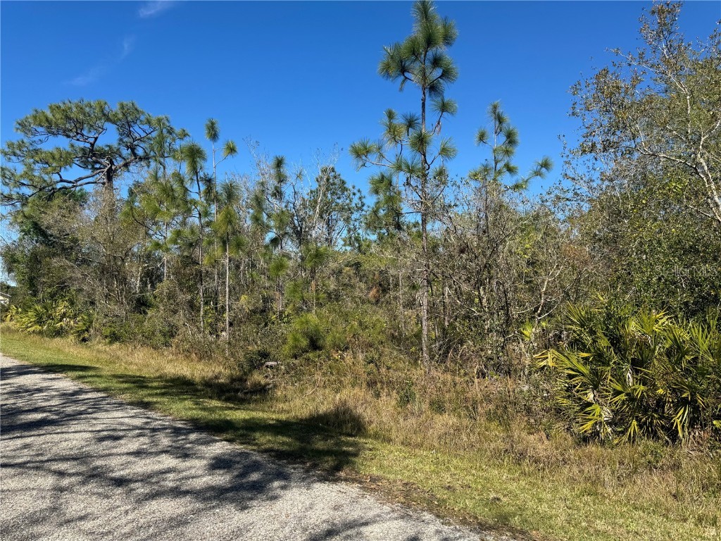 10039 SW Judy Avenue Arcadia FL 34269 C7488637 image1