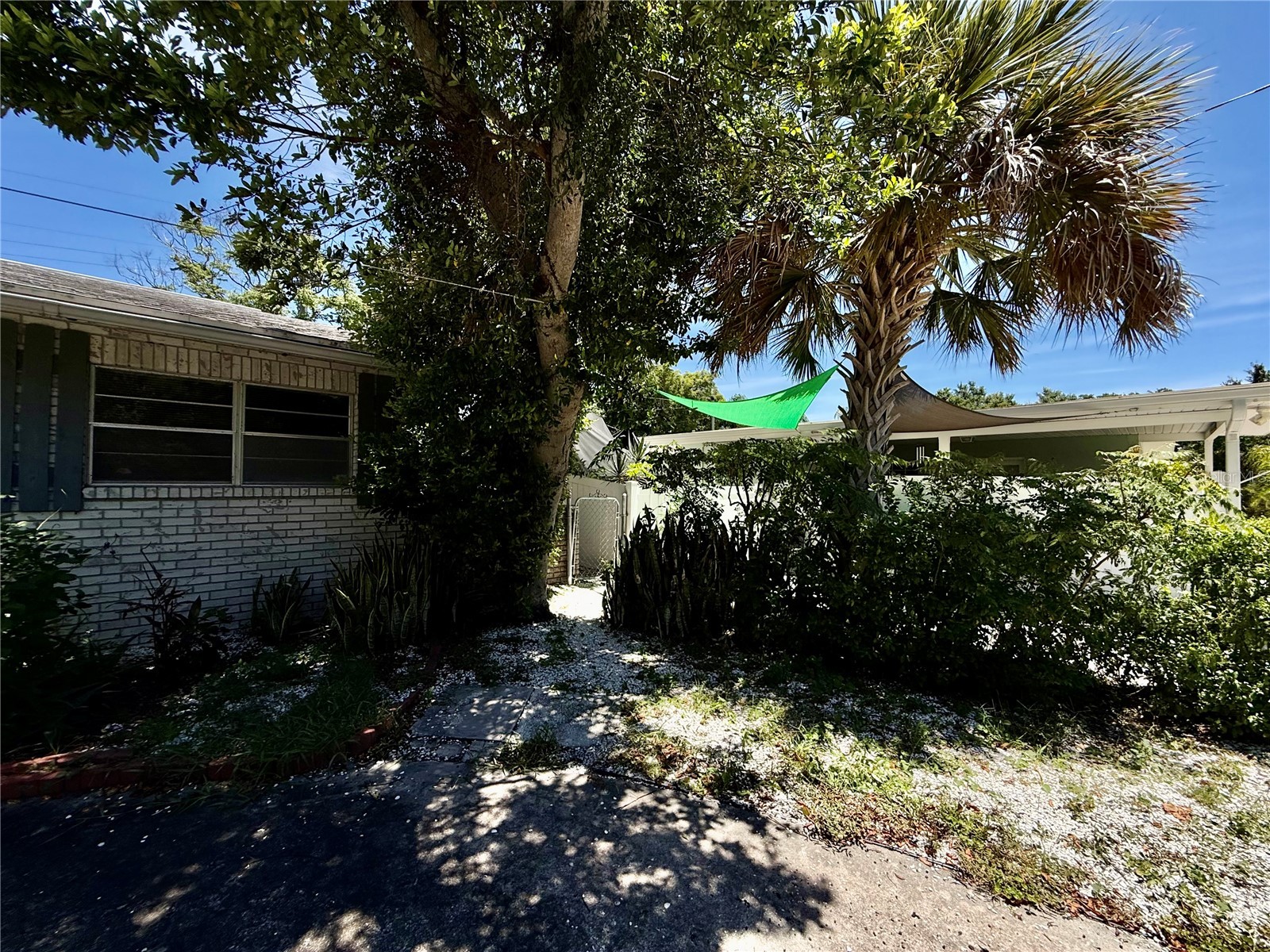 1004 Connecticut Road Tarpon Springs FL 34689 TB8516711 image3