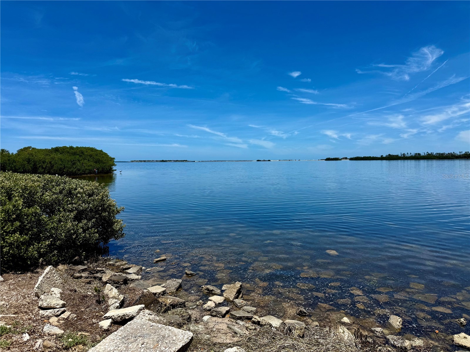 1004 Connecticut Road Tarpon Springs FL 34689 TB8516711 image54