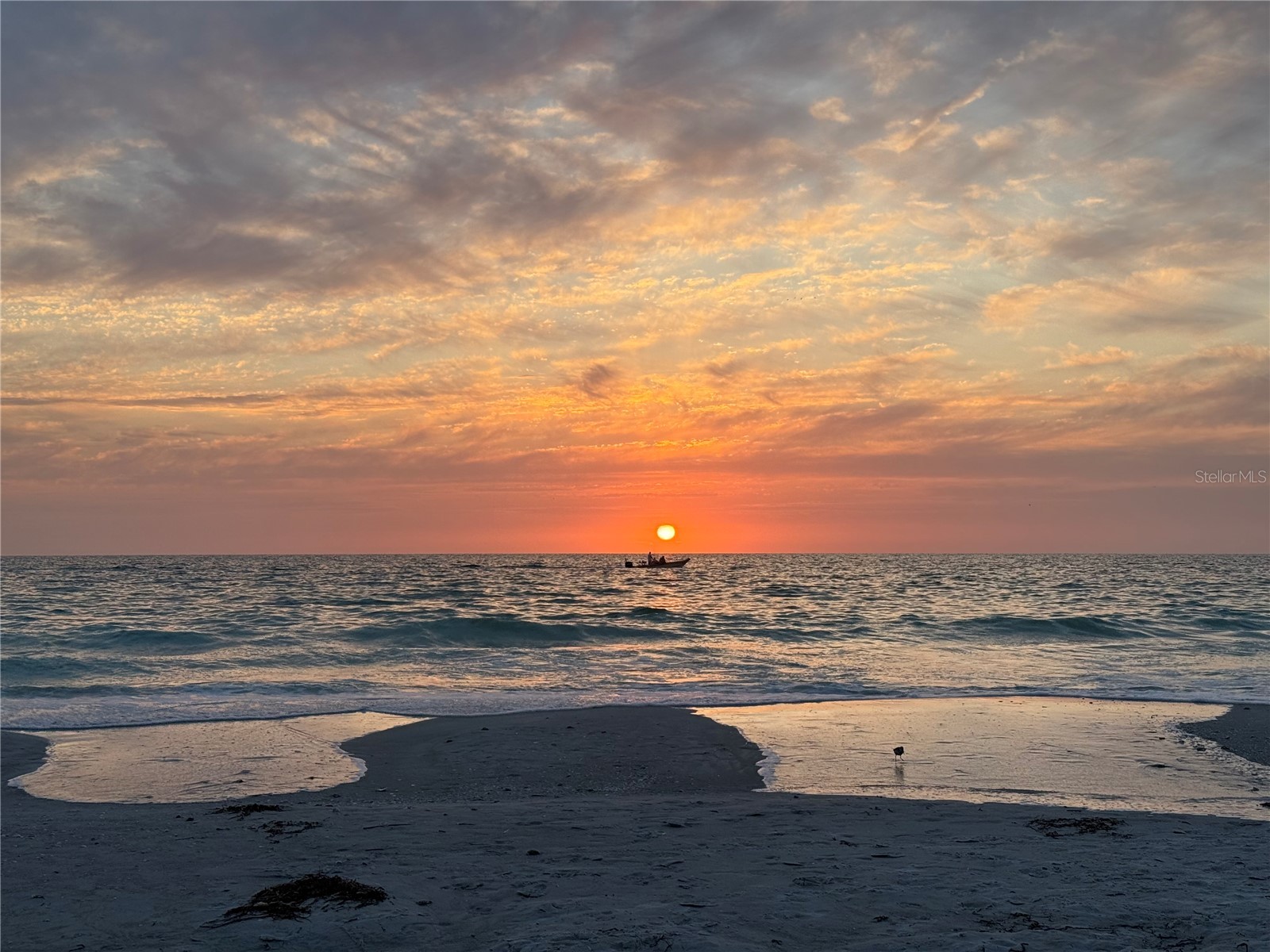 1004 Connecticut Road Tarpon Springs FL 34689 TB8516711 image7