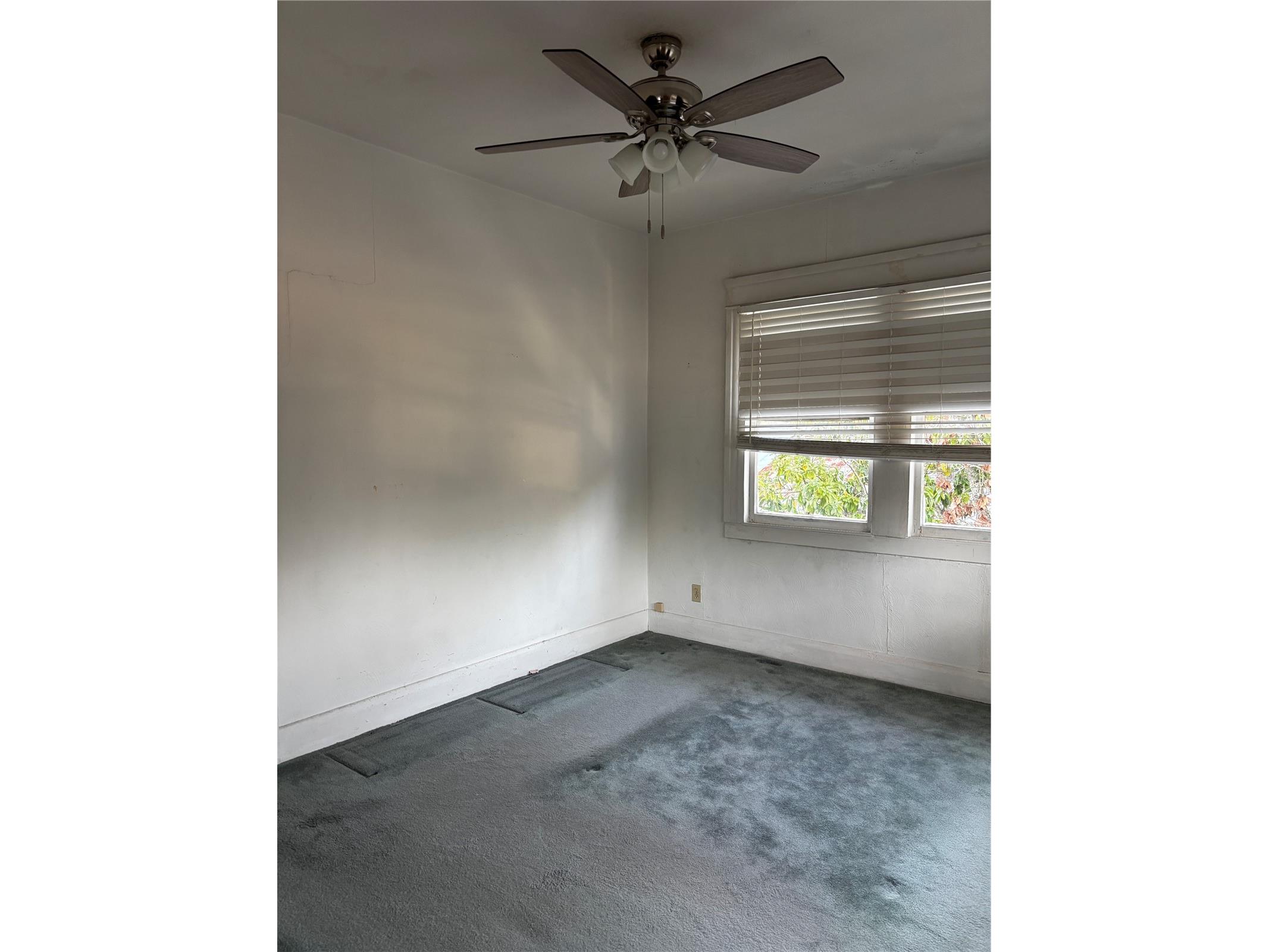 1004 E 25th Avenue Tampa FL 33605 TB8496516 image10