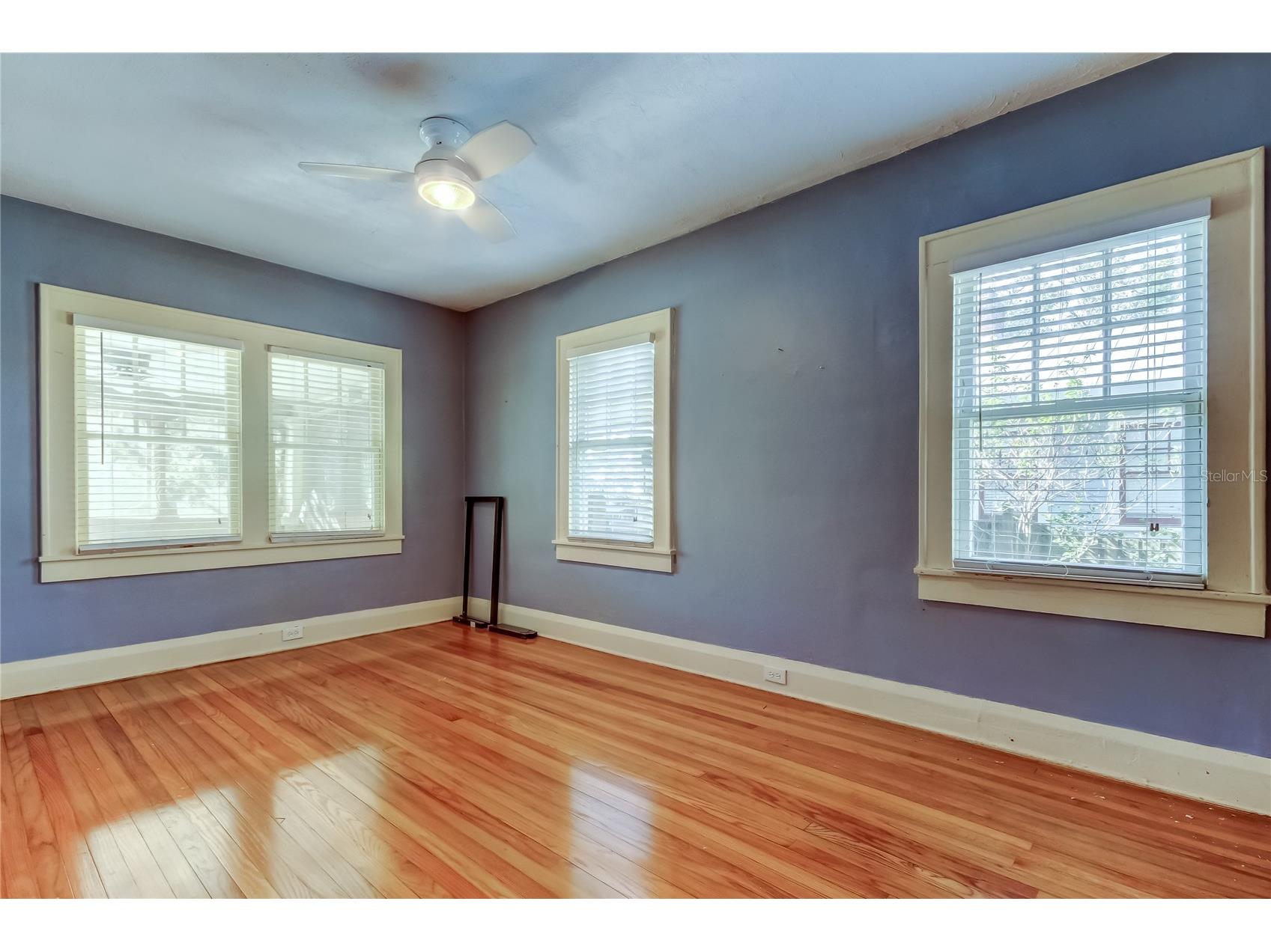 1004 E Crenshaw Street Tampa FL 33604 TB8468698 image31