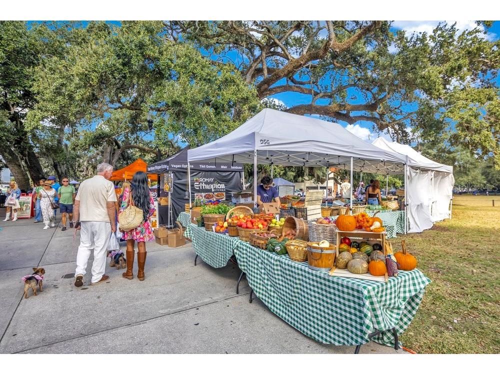 1004 E Robinson Orlando FL 32801 O6378444 image35