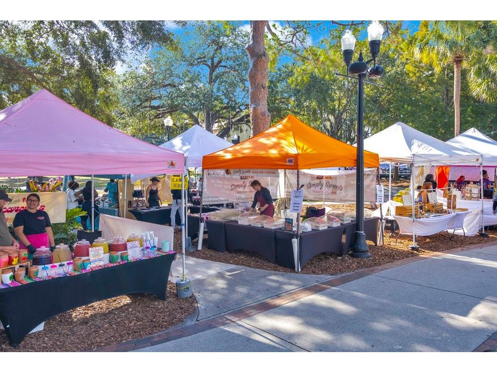 1004 E Robinson Orlando FL 32801 O6378444 image36