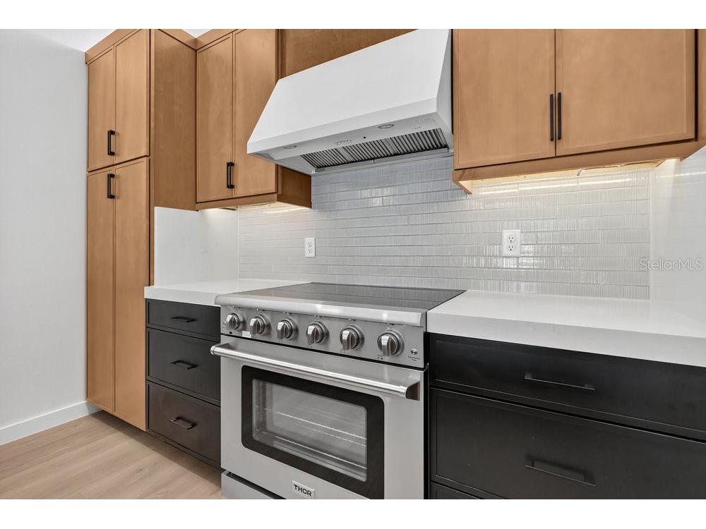 1004 E Robinson Orlando FL 32801 O6378444 image7