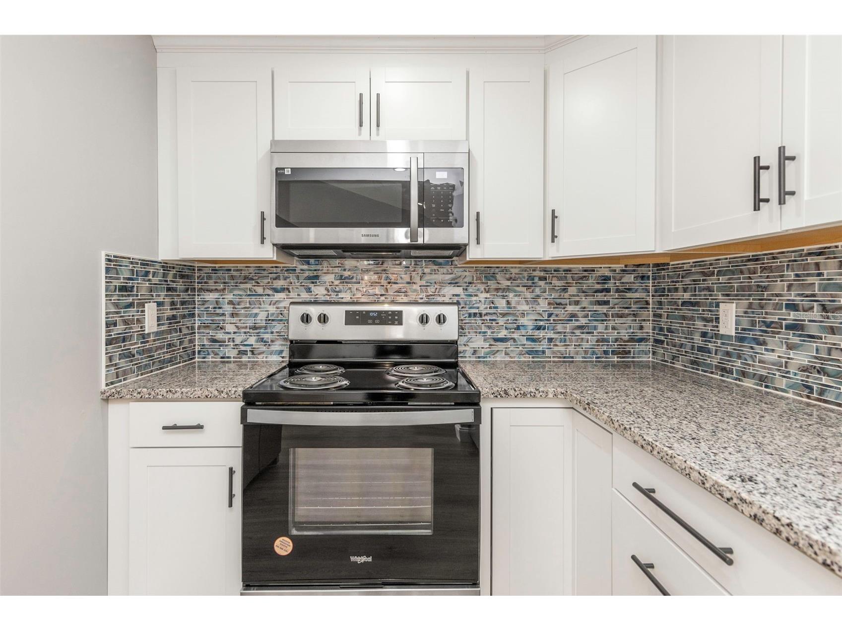 1004 Greenleaf Way Tarpon Springs FL 34689 G5080650 image20