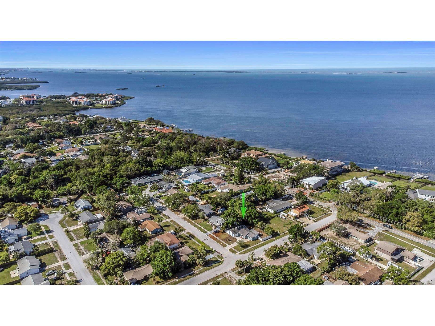 1004 Greenleaf Way Tarpon Springs FL 34689 G5080650 image37