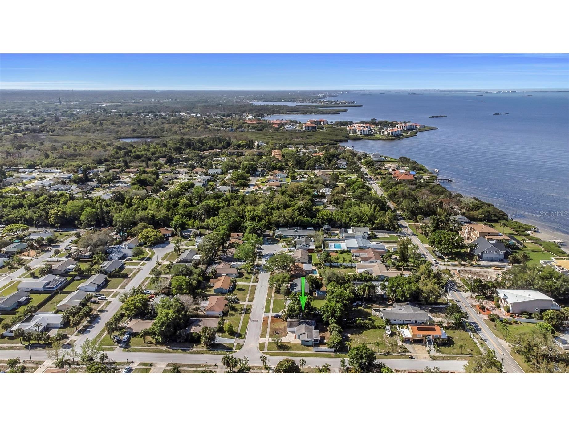 1004 Greenleaf Way Tarpon Springs FL 34689 G5080650 image9