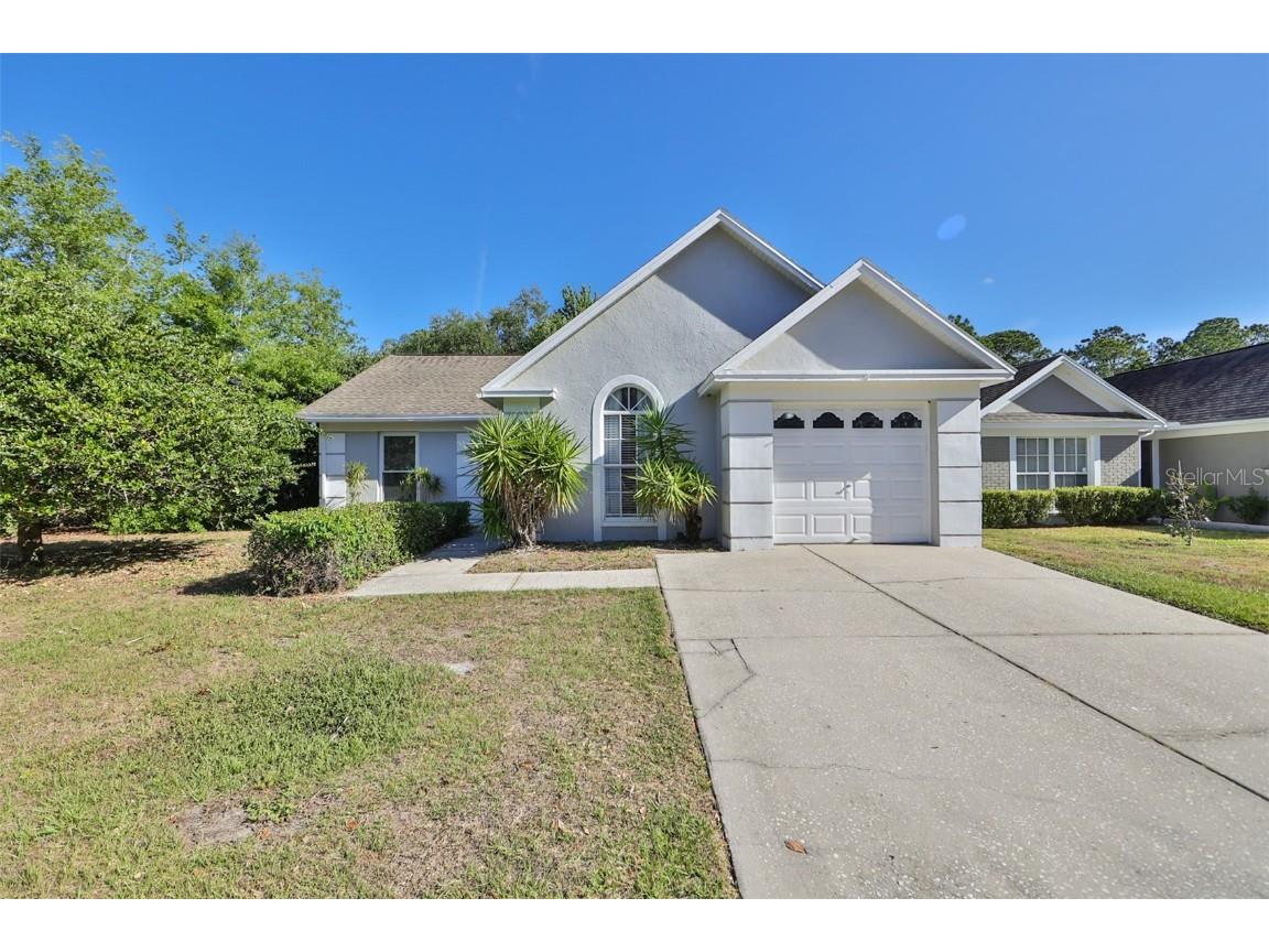 1004 Hardwood Drive Valrico FL 33596 T3437303 image1