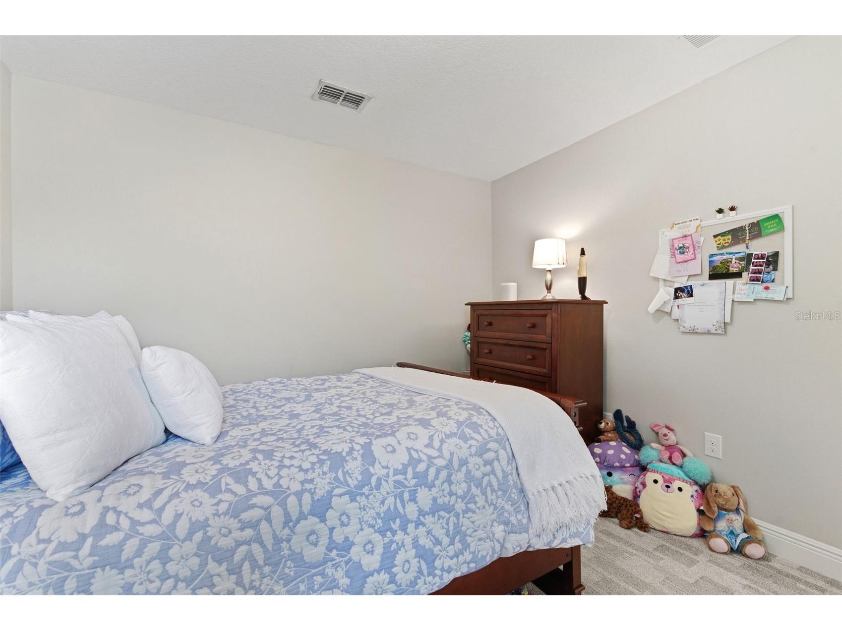 1004 Mango Court Oldsmar FL 34677 TB8495697 image25