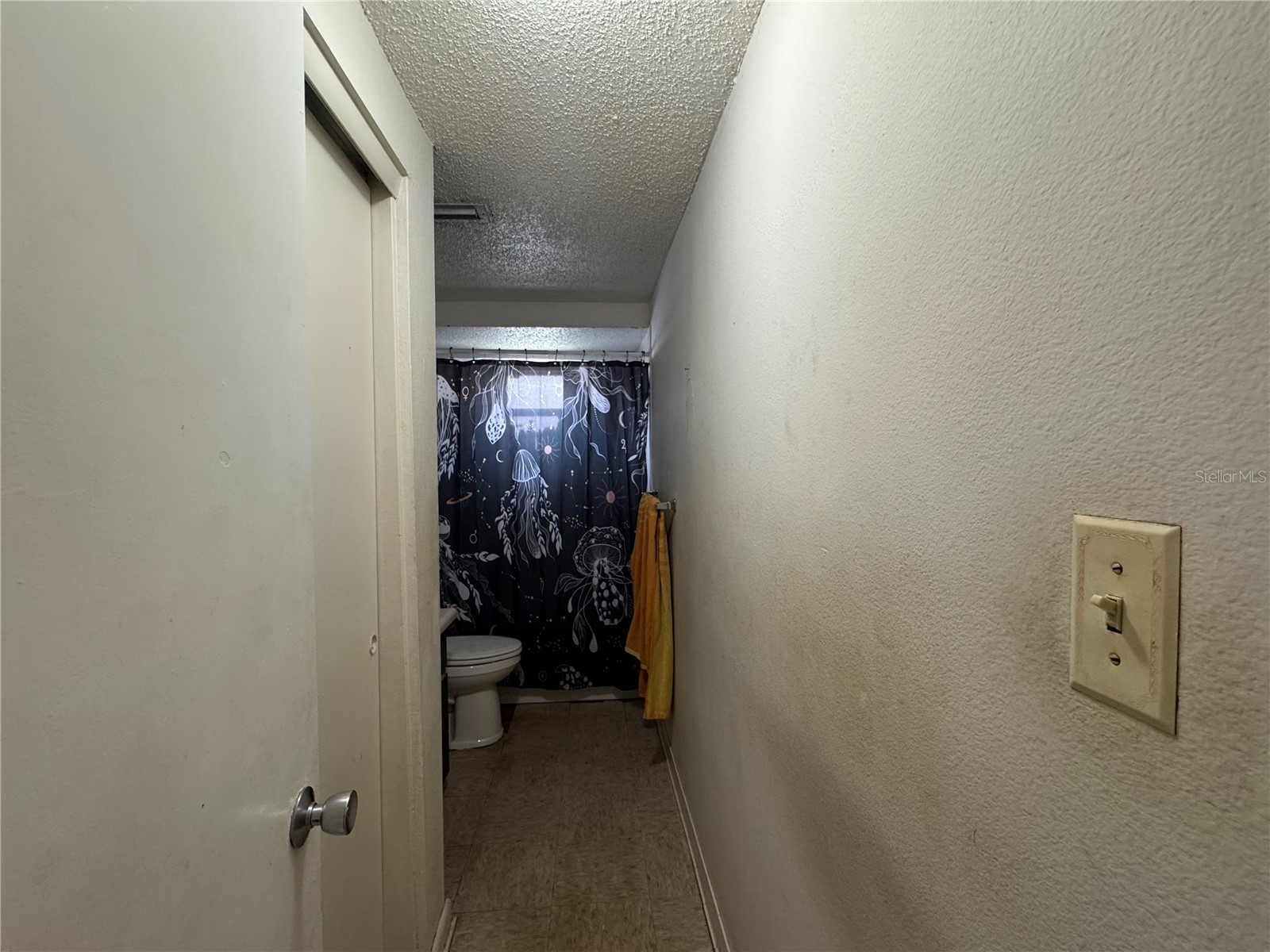 1004 Melrose Street Seffner FL 33584 TB8463924 image10