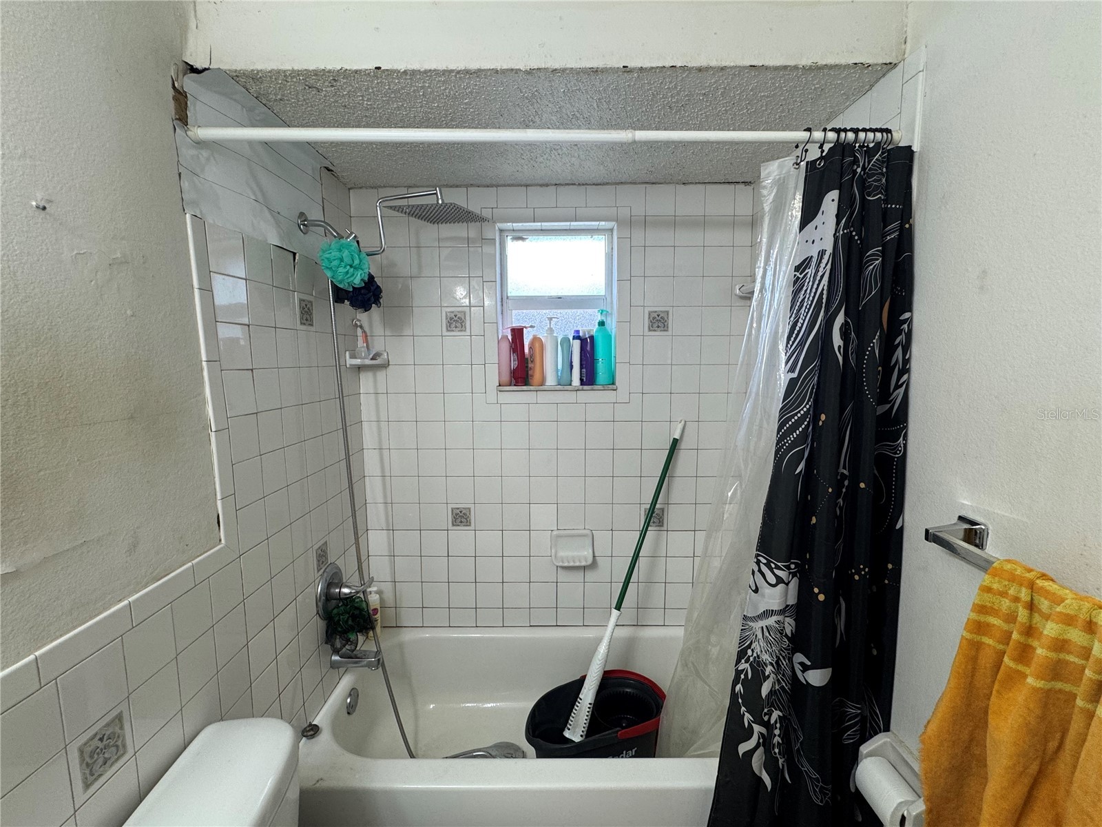 1004 Melrose Street Seffner FL 33584 TB8463924 image15