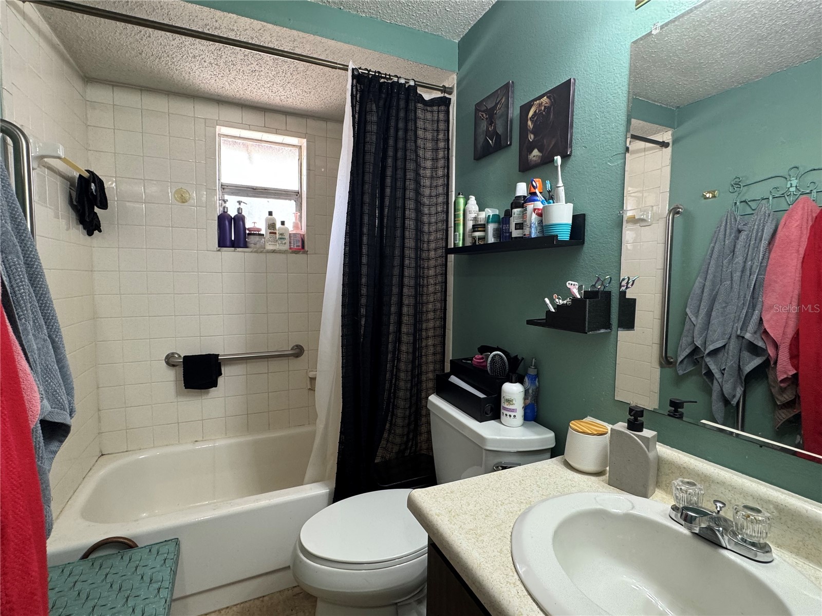 1004 Melrose Street Seffner FL 33584 TB8463924 image32