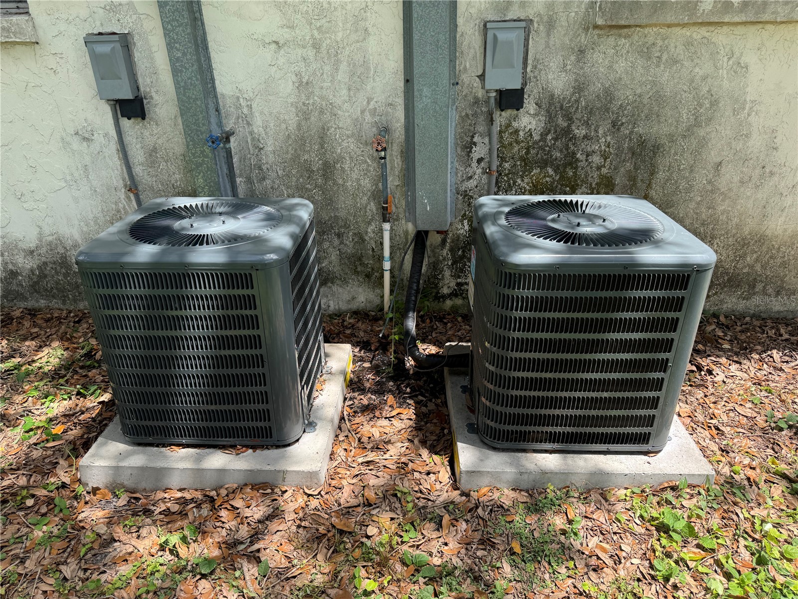 1004 Melrose Street Seffner FL 33584 TB8463924 image40