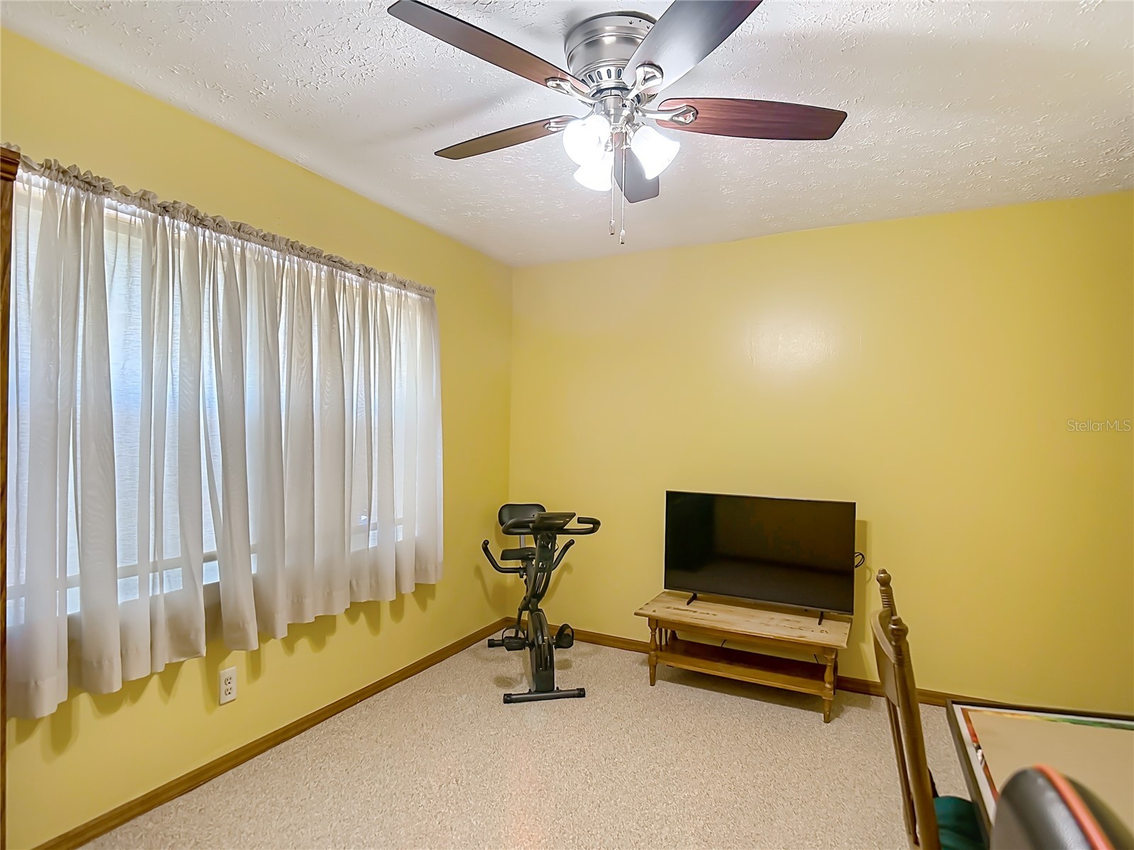 1004 Mook Street Brandon FL 33510 TB8496842 image23