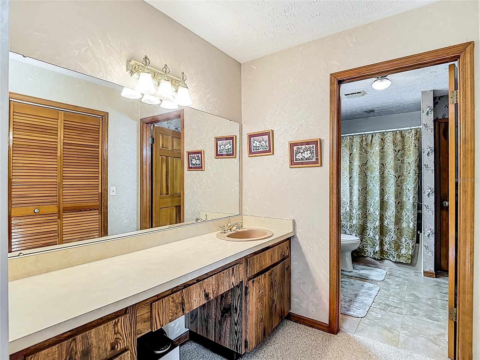 1004 Mook Street Brandon FL 33510 TB8496842 image26