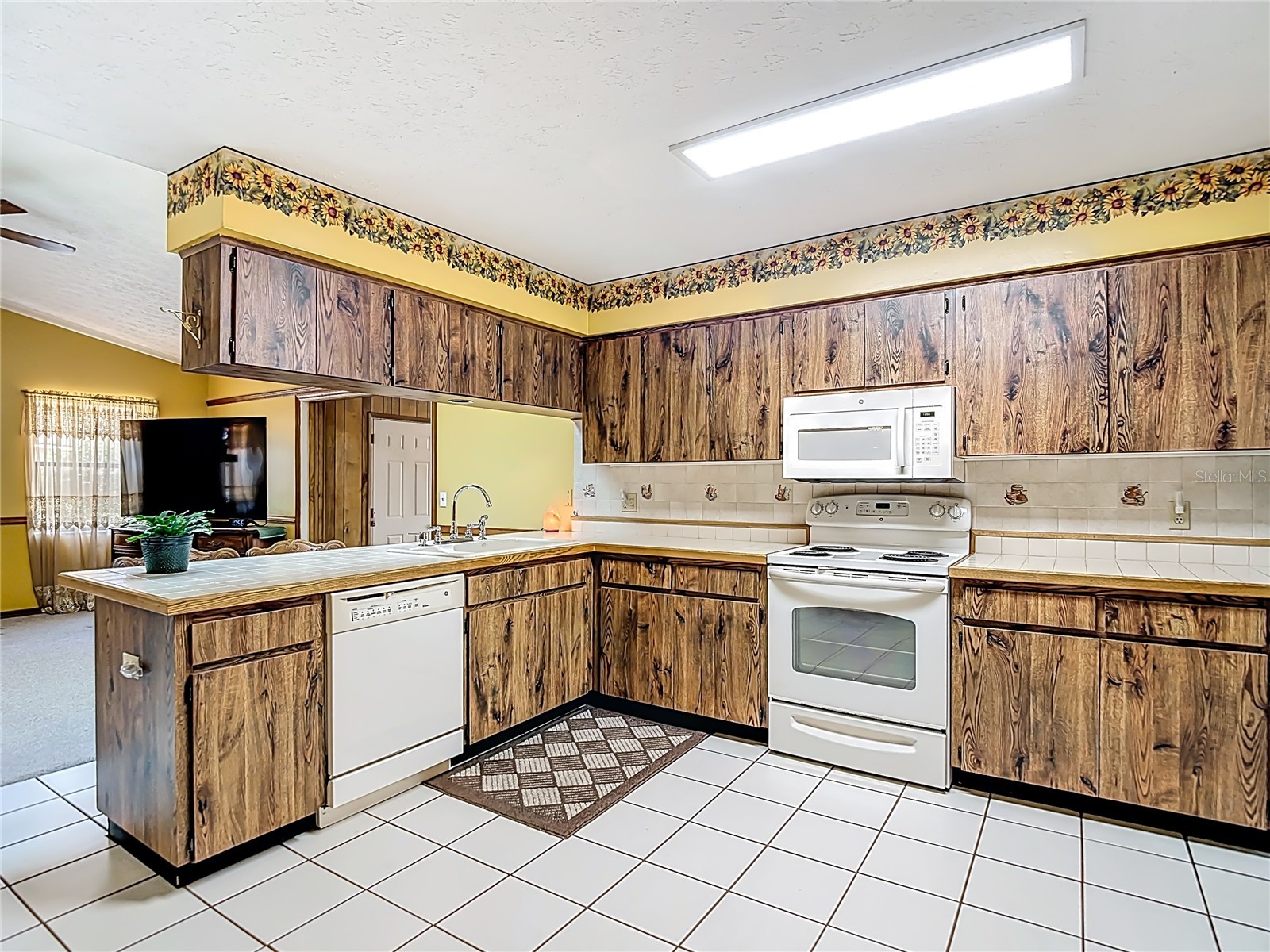 1004 Mook Street Brandon FL 33510 TB8496842 image3