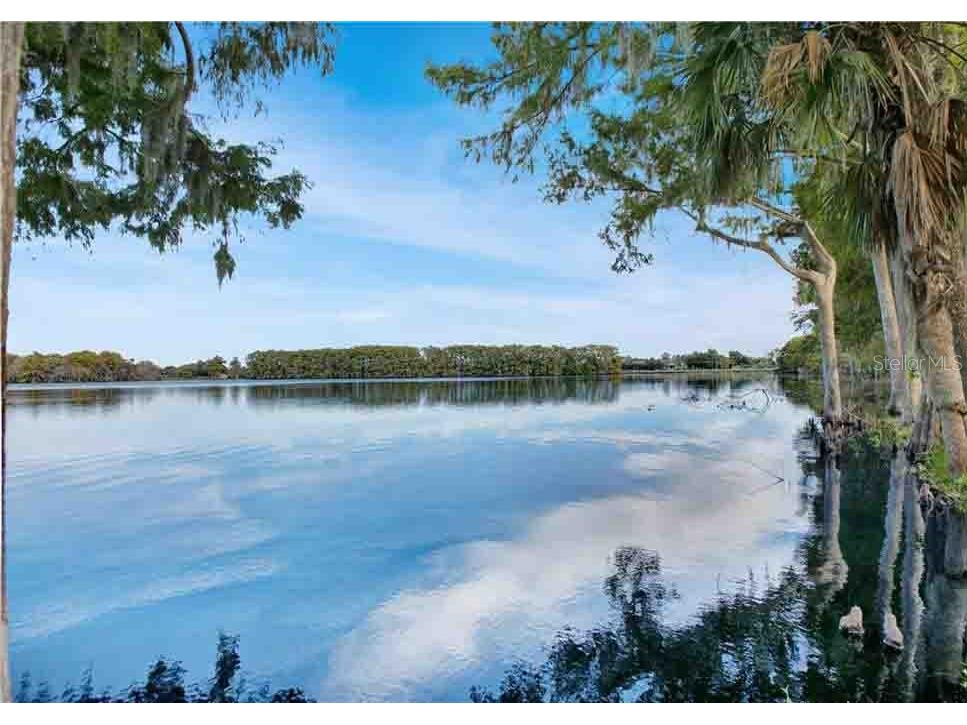 1004 Northlake Drive #1004 Sanford FL 32773 O6357081 image19