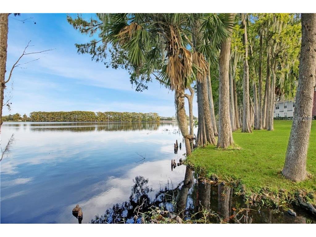 1004 Northlake Drive #1004 Sanford FL 32773 O6357081 image20