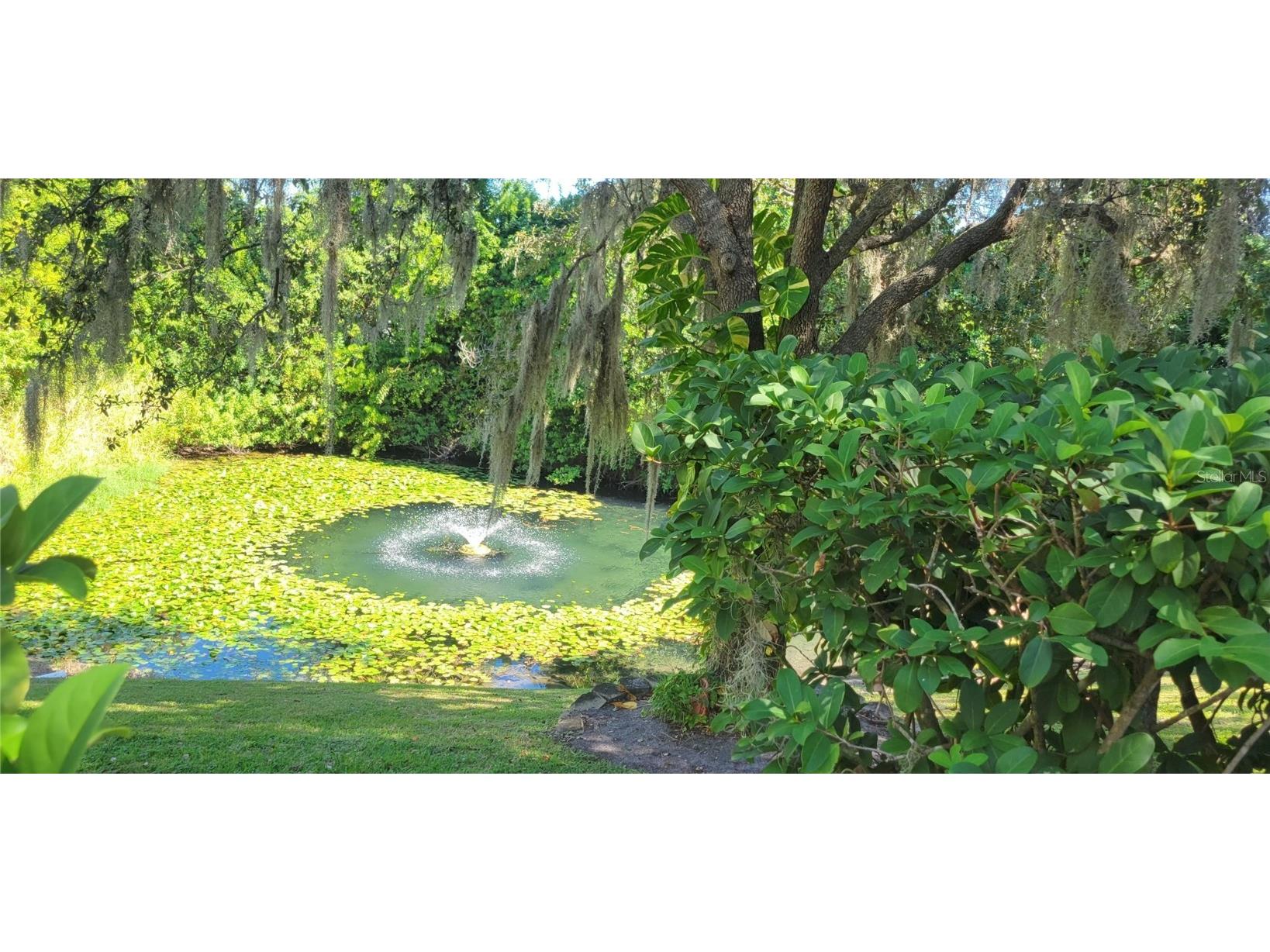 1004 Old Mill Pond Road Palm Harbor FL 34683 TB8441045 image2