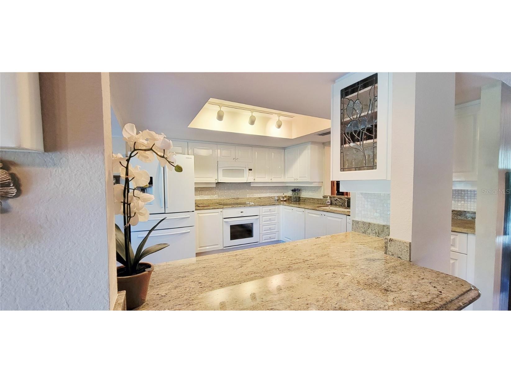 1004 Old Mill Pond Road Palm Harbor FL 34683 TB8441045 image21