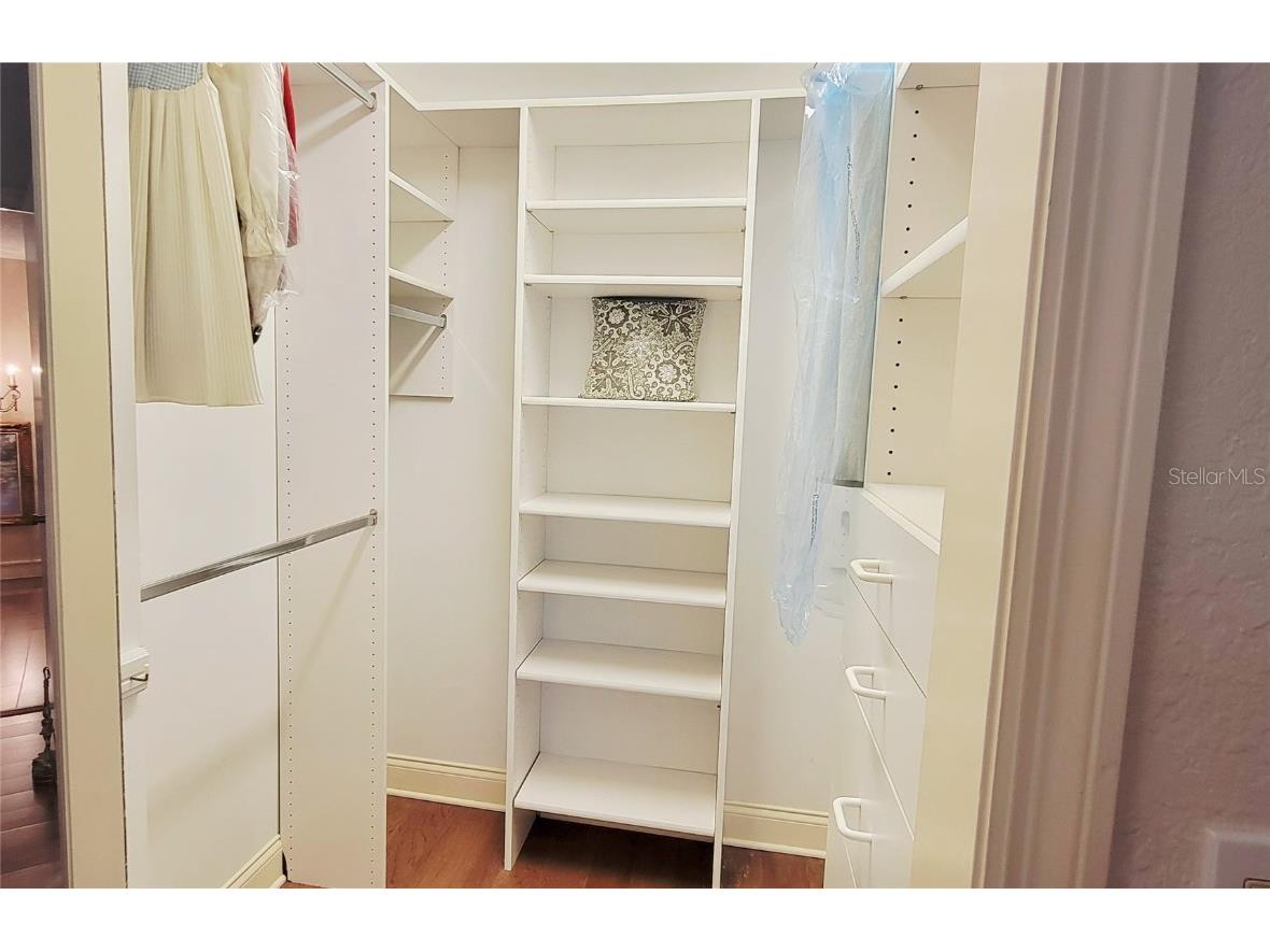 1004 Old Mill Pond Road Palm Harbor FL 34683 TB8441045 image39