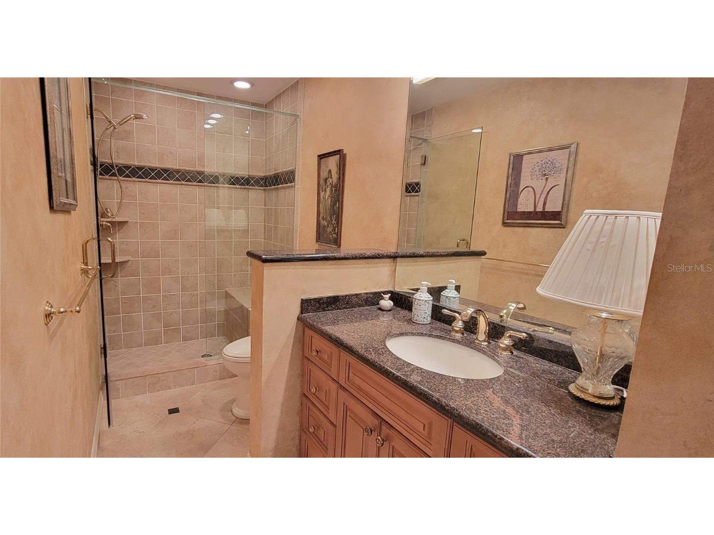 1004 Old Mill Pond Road Palm Harbor FL 34683 TB8441045 image47