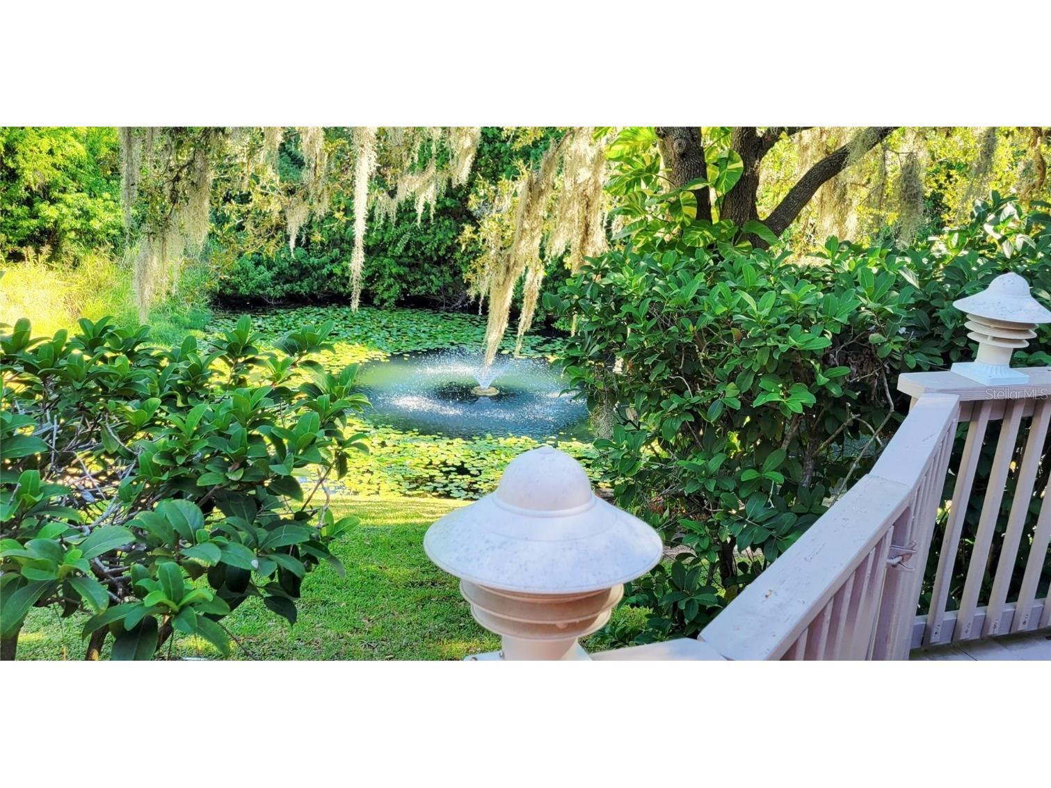 1004 Old Mill Pond Road Palm Harbor FL 34683 TB8441045 image7