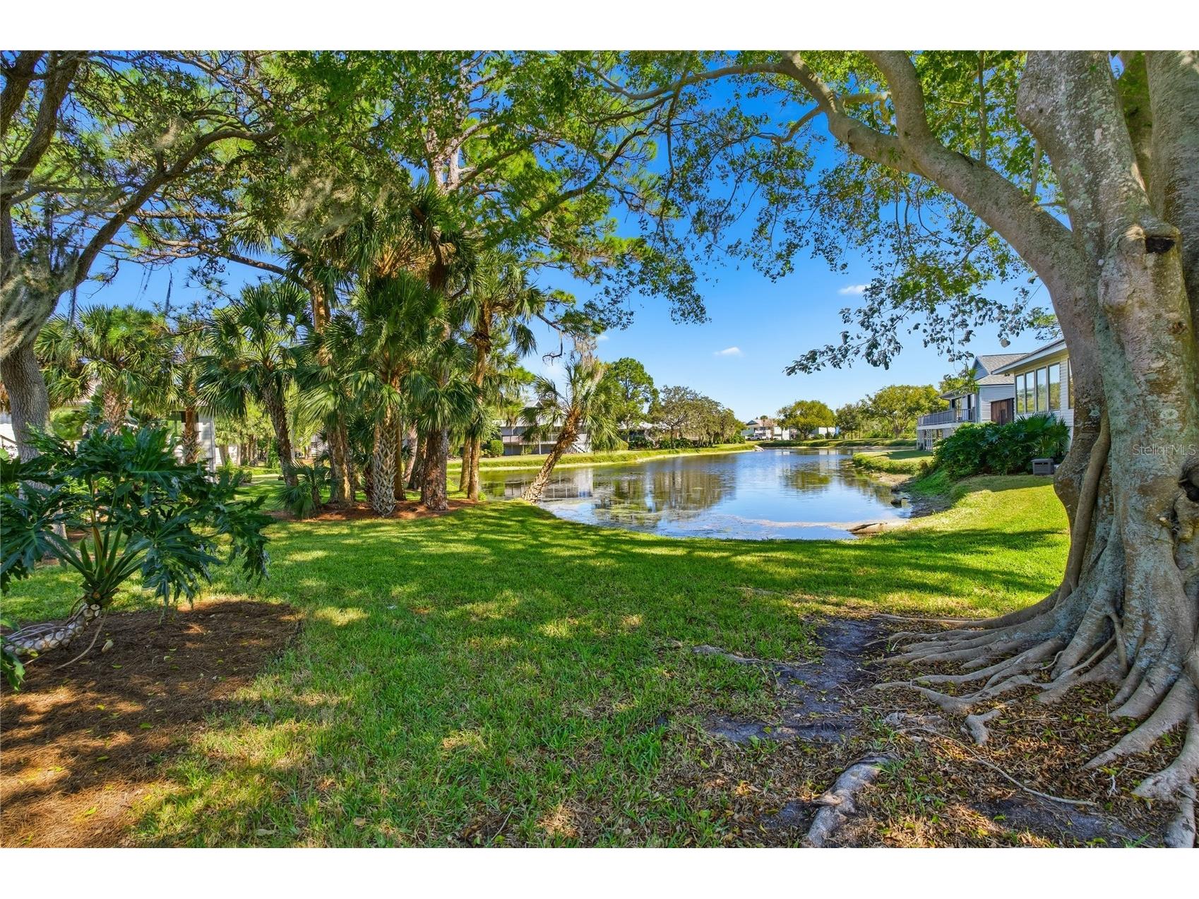 1004 Osprey Court Tarpon Springs FL 34689 TB8442390 image1