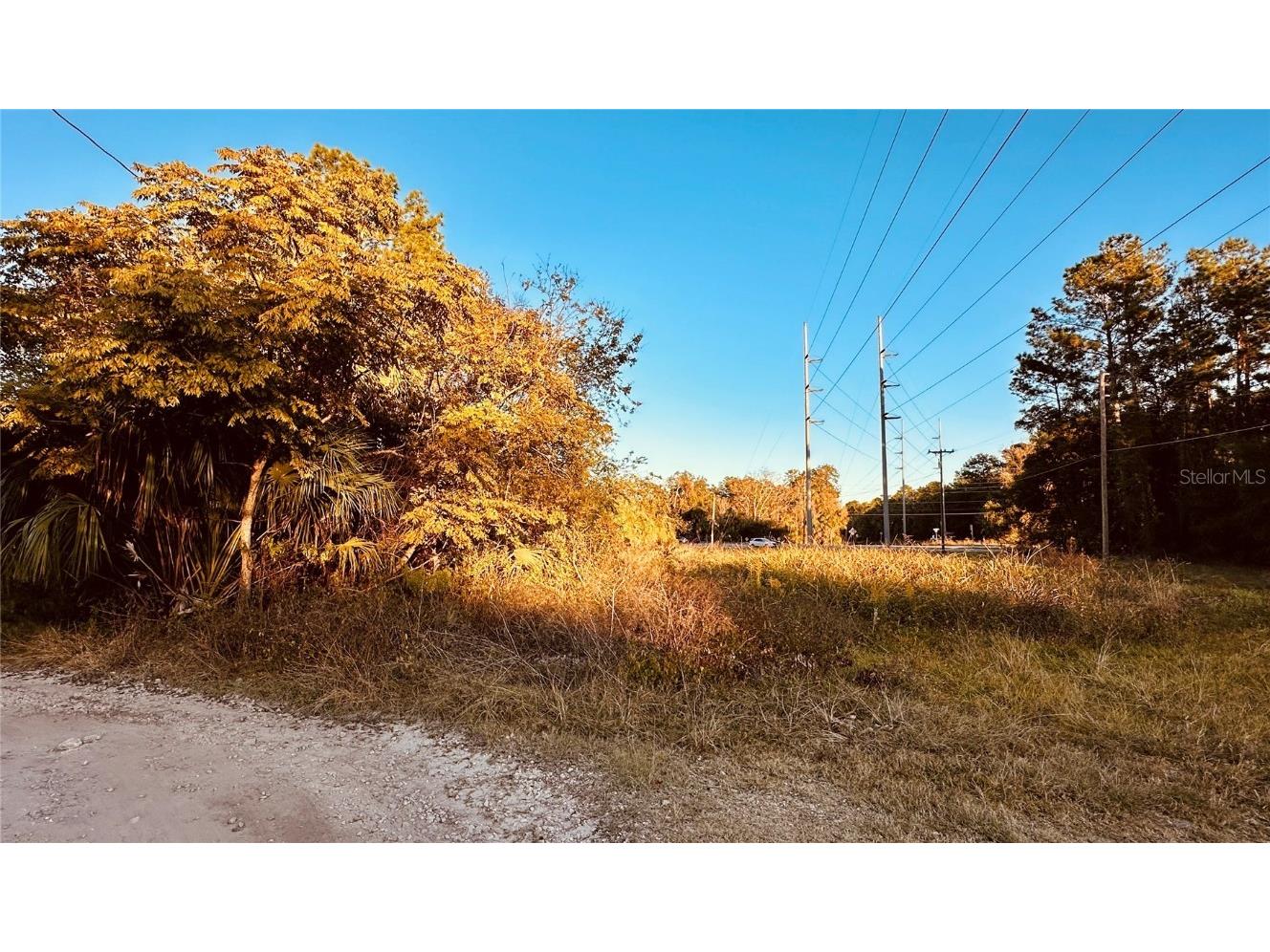 1004 SE 13th Avenue Gainesville FL 32601 GC526529 image2