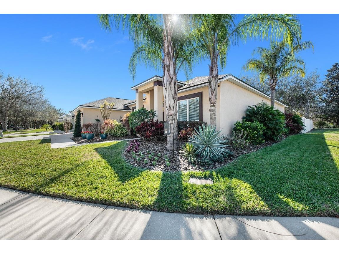 1004 Split Silk Street Valrico FL 33594 T3429686 image1