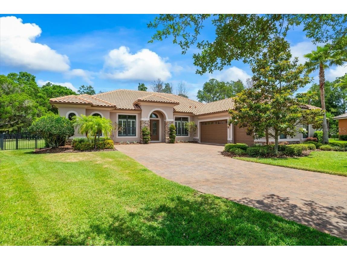 1004 Stella Vara Drive Lutz FL 33548 T3522026 image1