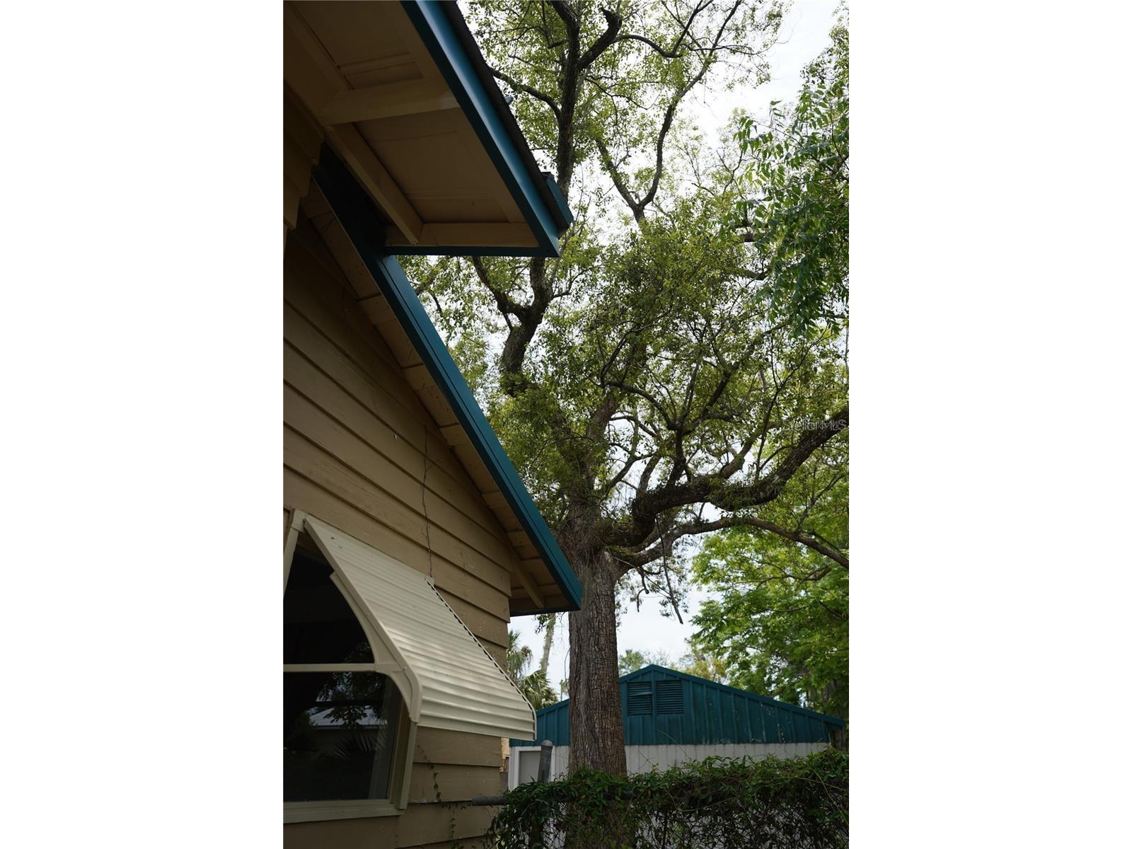 1004 Talton Avenue Deland FL 32720 V4949422 image39